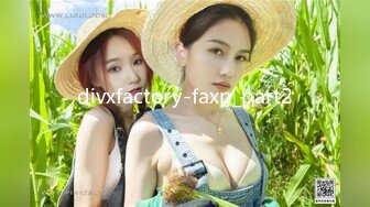 divxfactory-faxp_part2