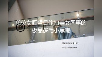 单位女厕全景偷拍美女同事的极品多毛小黑鲍