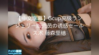 【中文字幕】Gcup高级ランジェリー贩売员の诱惑セールス术 藤森里穂