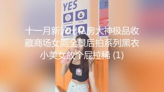 十一月新流出私房大神极品收藏商场女厕全景后拍系列黑衣小美女放个屁拉稀 (1)