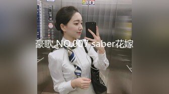 豪歌 NO.007 saber花嫁