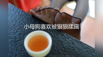 小母狗喜欢被狠狠蹂躏