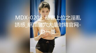 MDX-0208_秘書上位之淫亂誘惑_絕頂騷穴大量射精官网-赵一曼