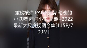 重磅核弹 PANS头牌 勾魂的小妖精 西门小玉 早期+2022最新大尺度视图合集[115P/700M]