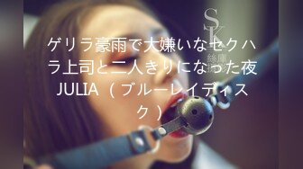 ゲリラ豪雨で大嫌いなセクハラ上司と二人きりになった夜 JULIA （ブルーレイディスク）