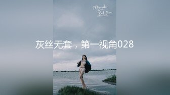 灰丝无套，第一视角028