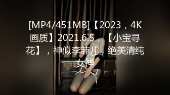 [MP4/451MB]【2023，4K画质】2021.6.5，【小宝寻花】，神似李菲儿，绝美清纯女神