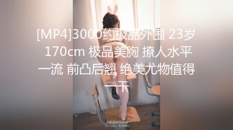 [MP4]3000约极品外围 23岁 170cm 极品美胸 撩人水平一流 前凸后翘 绝美尤物值得一干