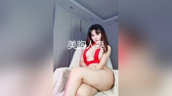 美胸人妻