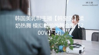 韩国美乳BJ主播【韩宝贝】揉奶热舞 模拟啪啪热舞合集【200V】 (2)