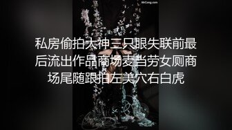 私房偷拍大神三只眼失联前最后流出作品商场麦当劳女厕商场尾随跟拍左美穴右白虎