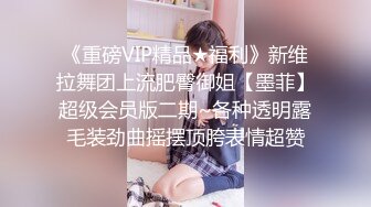 《重磅VIP精品★福利》新维拉舞团上流肥臀御姐【墨菲】超级会员版二期~各种透明露毛装劲曲摇摆顶胯表情超赞