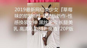 2019最新网红美少女『草莓味的软糖呀』会员版新作-性感换装女神 黑丝粉穴 长腿美乳 高清私拍81P 高清720P版 (2)