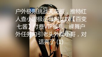 户外极限挑战天花板，推特红人查小理极品母狗女奴【百变七酱】付费VIP福利，裸舞户外任务勾引老头外卖小哥，对话亮了 (1)