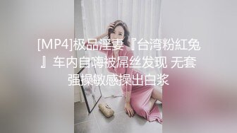 [MP4]极品淫妻『台湾粉紅兔』车内自嗨被屌丝发现 无套强操敏感操出白浆