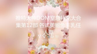 推特大神DOM窒息补充大合集第12部 各式美鲍鱼丰乳任人草